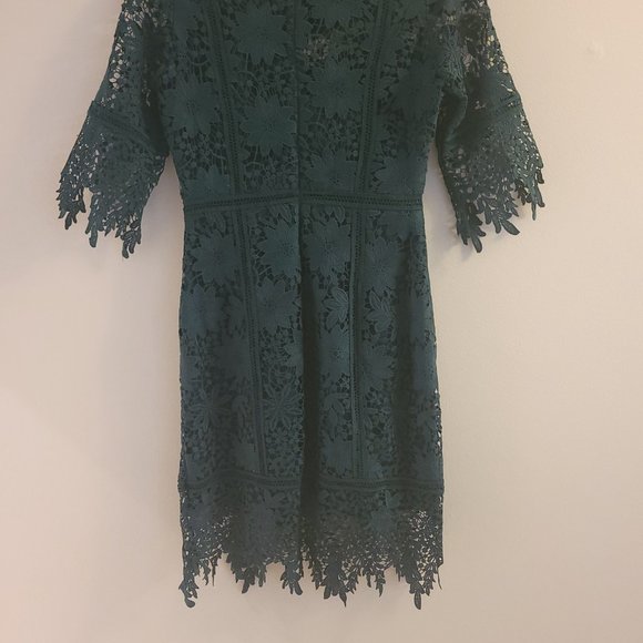 Minuet Lace fitted sheath dress - Picture 3 of 4